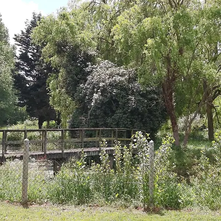 Le Bonheur Des Plumes