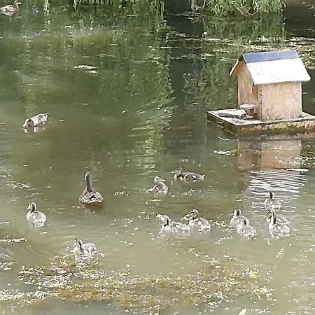 Le Bonheur Des Plumes Frühstückspension *