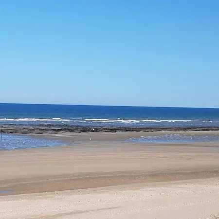 Le Bonheur Des Plumes Montmartin-en-Graignes