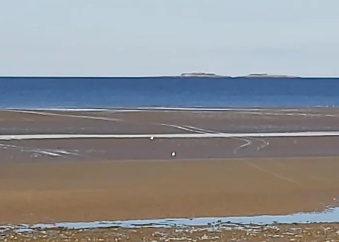 Bed & Breakfast Le Bonheur Des Plumes