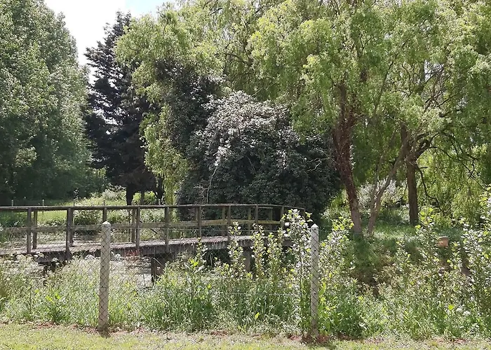 Le Bonheur Des Plumes