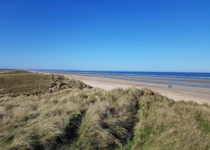 Le Bonheur Des Plumes