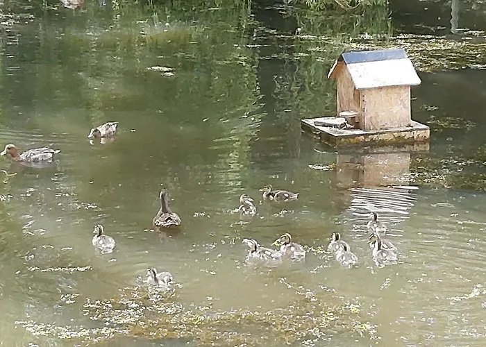 Le Bonheur Des Plumes Bed & Breakfast 3*