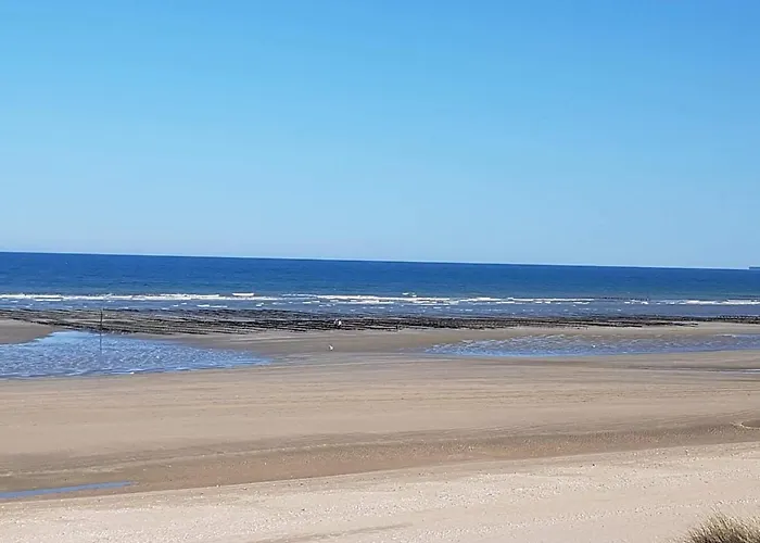 Le Bonheur Des Plumes Montmartin-en-Graignes